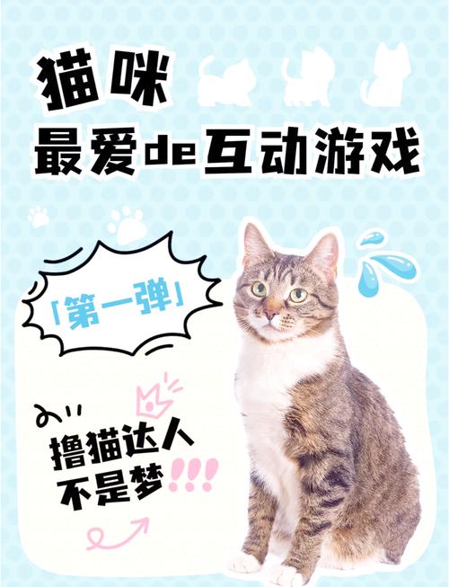 想体验猫咪恋爱？猫研社游戏玩法全攻略！