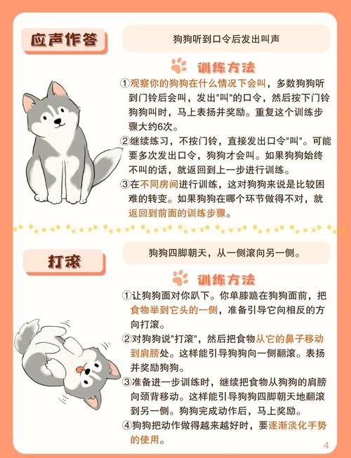 精灵女上司的训狗术游戏官网：新手入门指南及常见问题解答