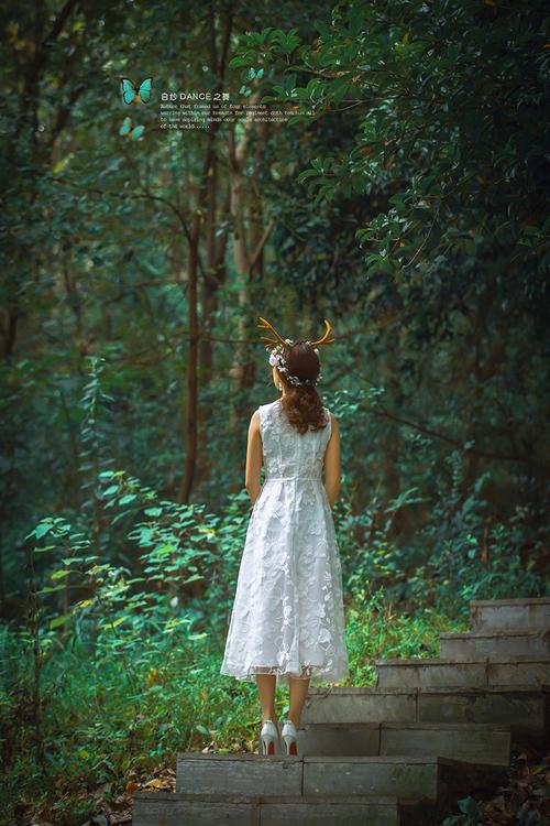 懵懂少女惠子官网地址：进入她的专属网络空间