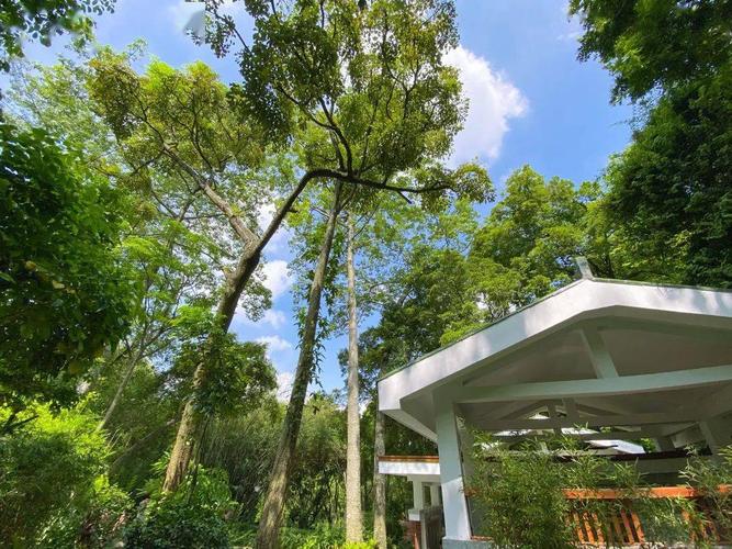 想玩夏日小公园的厕所？官网入口及游戏配置要求