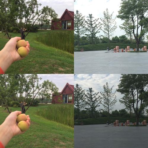 夏日小公园厕所游戏下载:桃子汉化版在哪找?