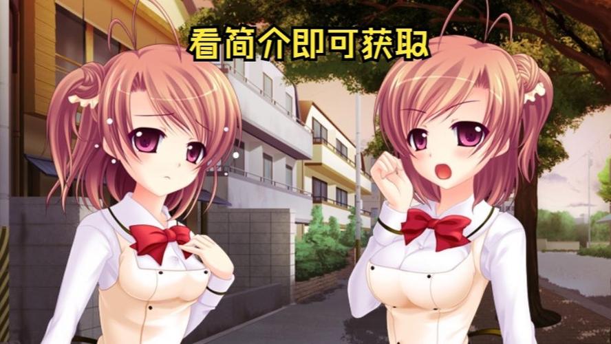 双胞胎少女逆推游戏:二维码最新版本免费下载