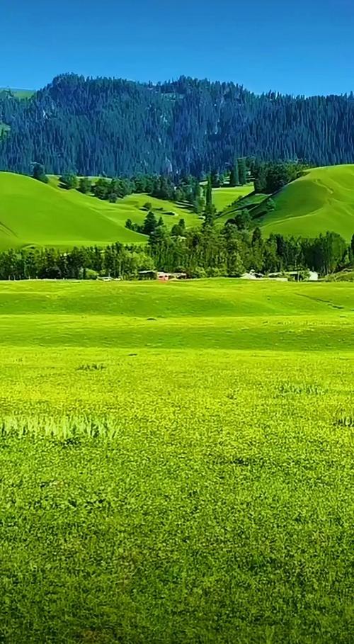 青青草原你弟弟喜欢的游戏？轻松休闲好上手！