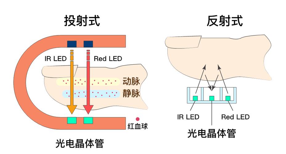 心脏问题在哪下载？靠谱资源推荐及下载方法详解