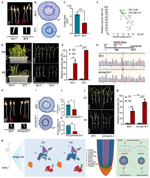 COERCION胁迫定义及最新案例分析深度解读