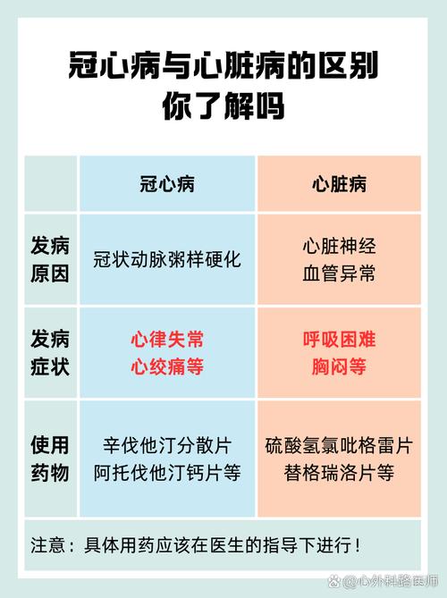 各类心脏问题详解：版本大全，帮你轻松识别和预防心脏疾病
