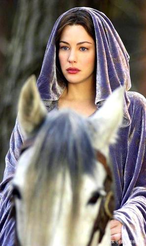 想看爱与战争?系列三部曲版本大全都在这里!