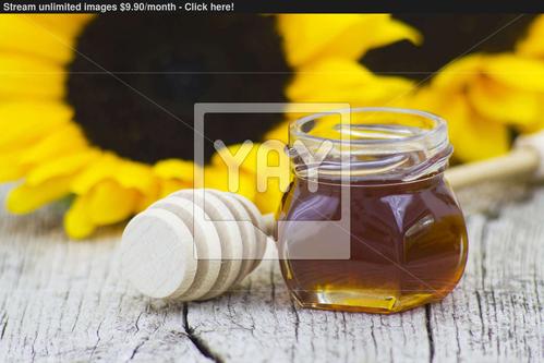 想下载HoneySun?这里提供安全可靠的下载地址