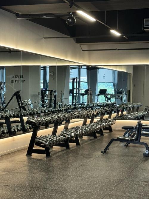 想了解禁欲健身中心最新版本？这里有你需要的所有信息！