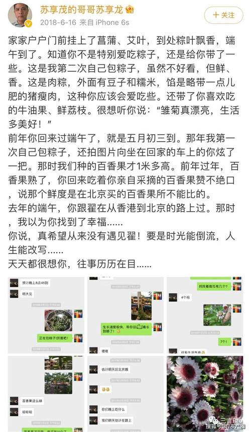 幸运老师游戏下载地址大全,爱与生活等你体验