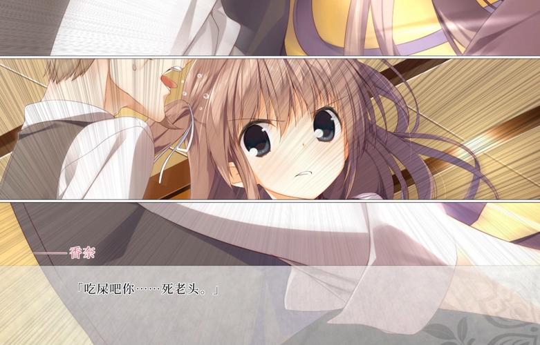 樱之刻完美攻略:图文详解,助你轻松体验所有剧情