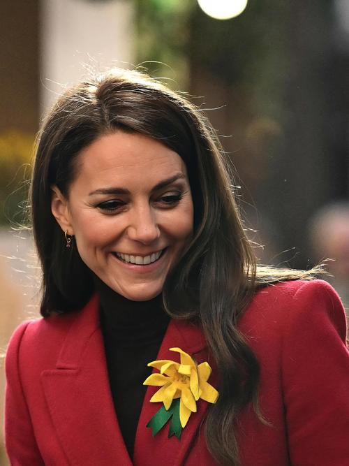 寻找凯特官方网站?这里有你需要的一切信息