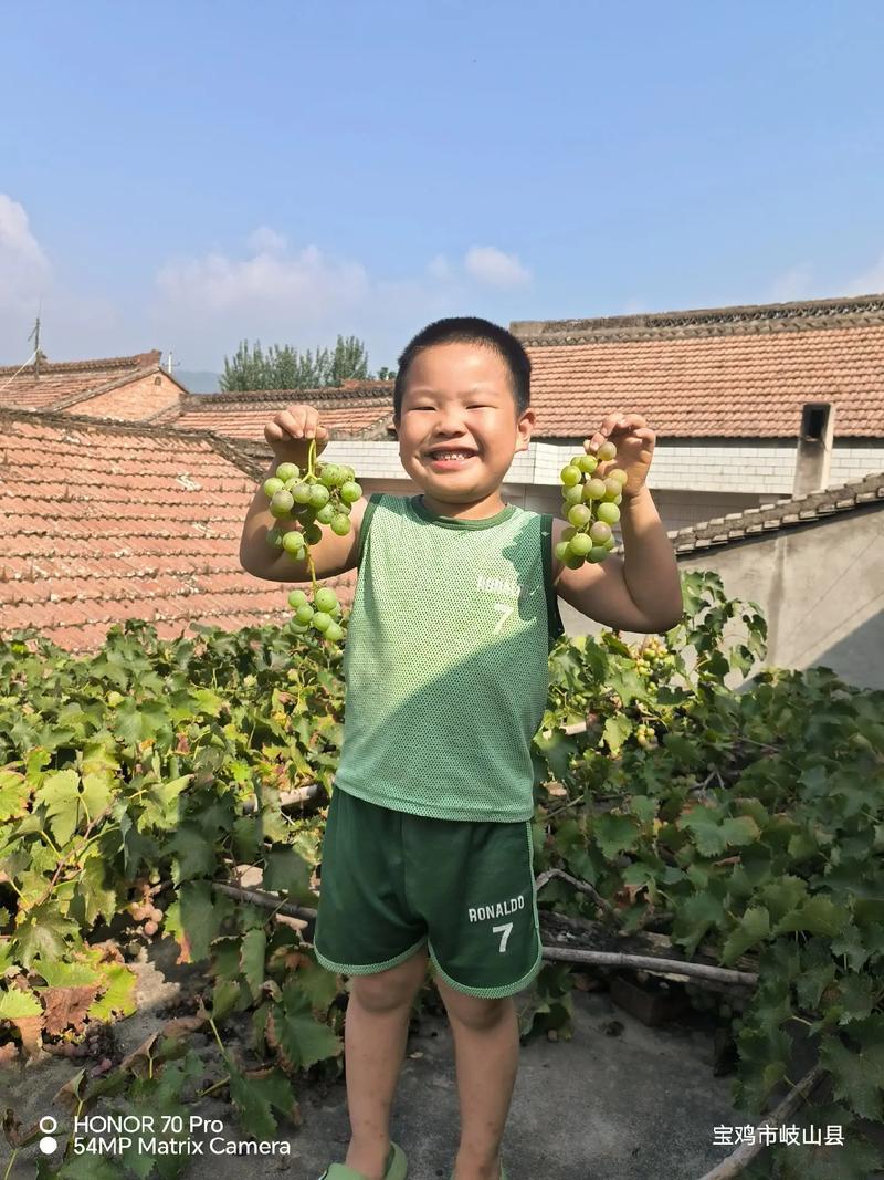 乡村生活的快乐暑假汉化版下载:感受不一样的暑假生活