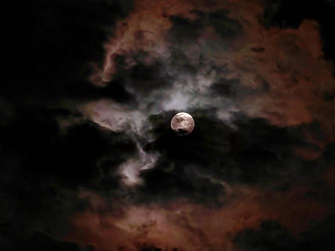 想玩失落的月亮?这里有你想要的全部版本!