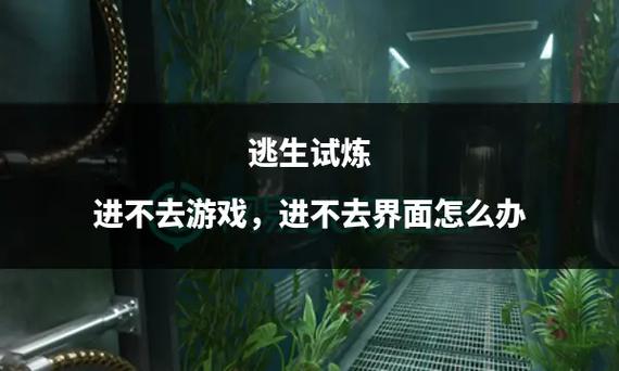 深入了解张津俞绅士游戏:玩家评价与体验