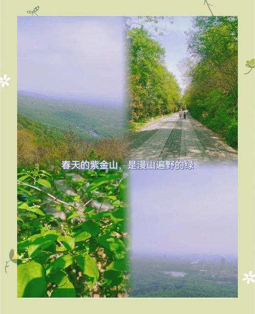 小绿山官网最新消息：游戏更新及活动公告