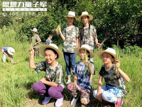 乡村生活的快乐暑假安卓下载教程：简单易上手的田园游戏