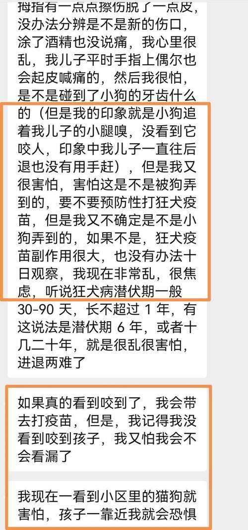 寻找疯猫最新版本?这里有你想要的全部资源