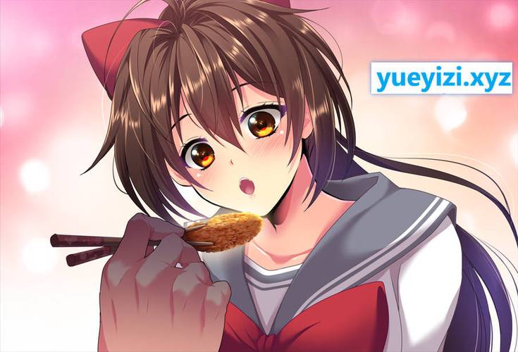 闪光圣姬马尾天星全版本合集:资源分享与体验