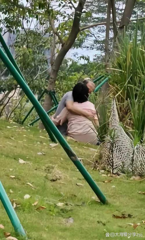 想知道激情公园最新版本?这里有你想要的答案!