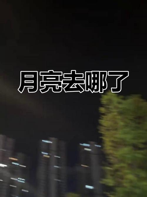 想玩失落的月亮?这里有你想要的全部版本!