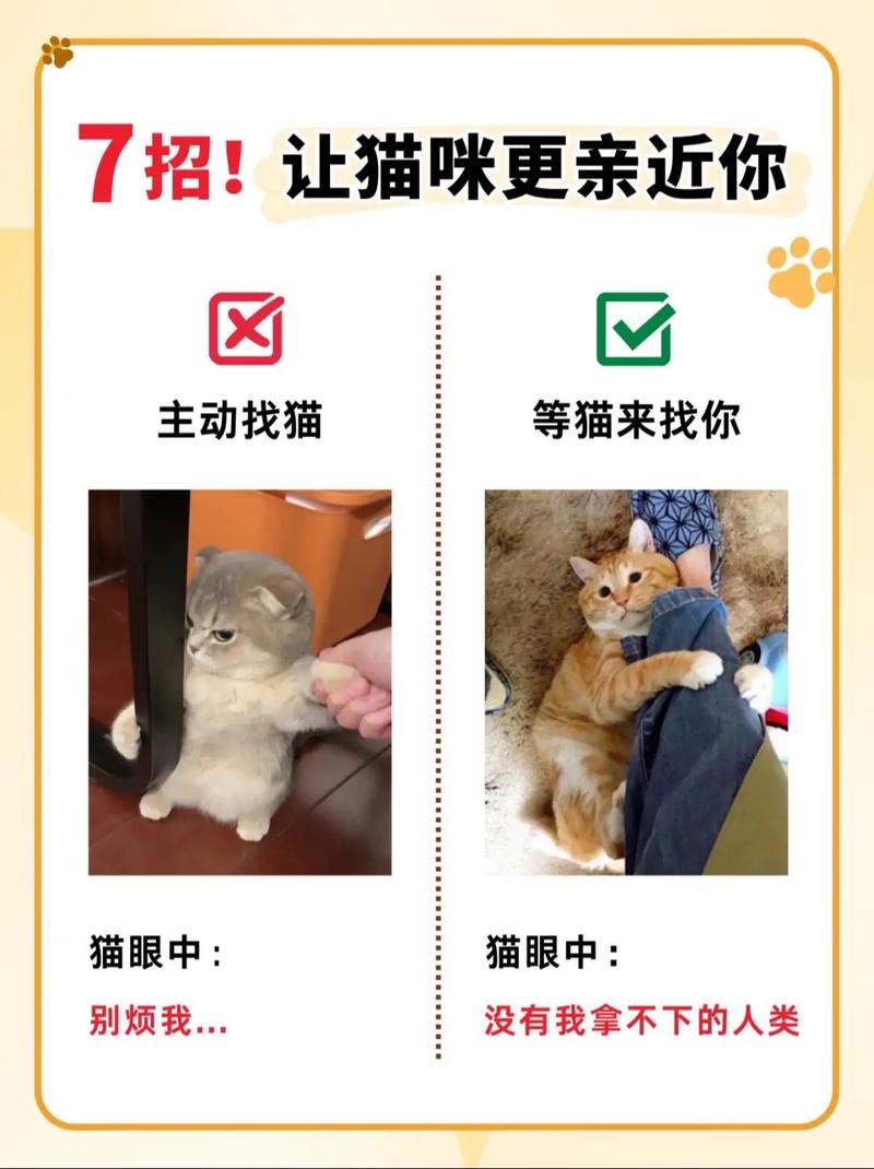 教你轻松下载当你的猫咪,告别下载难题