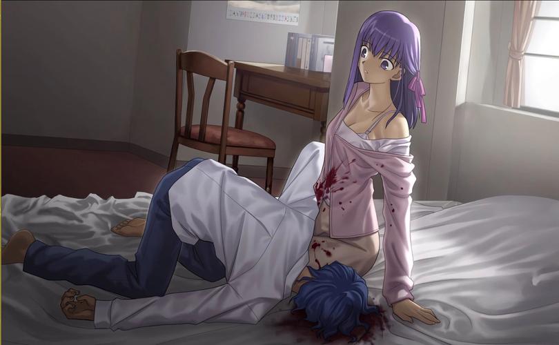 Fate DS汉化版下载：免安装直接畅玩体验