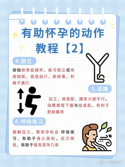 怀孕无双游戏玩法详解:深度解析游戏机制