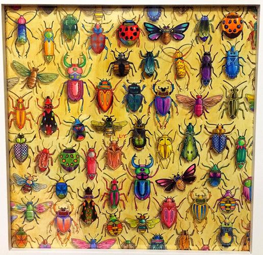 兔兔秘密花园官方正式版下载最新版:1.9G超清资源等你