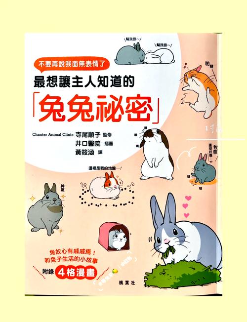 兔兔秘密花园更新地址大全!不同版本下载方式详解