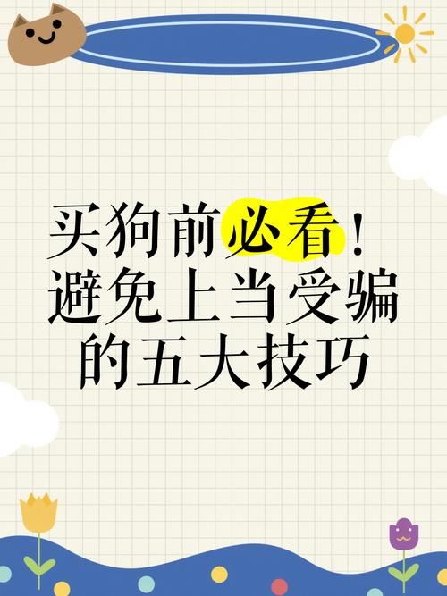 我该怎么选官方网站?避免上当受骗的实用技巧