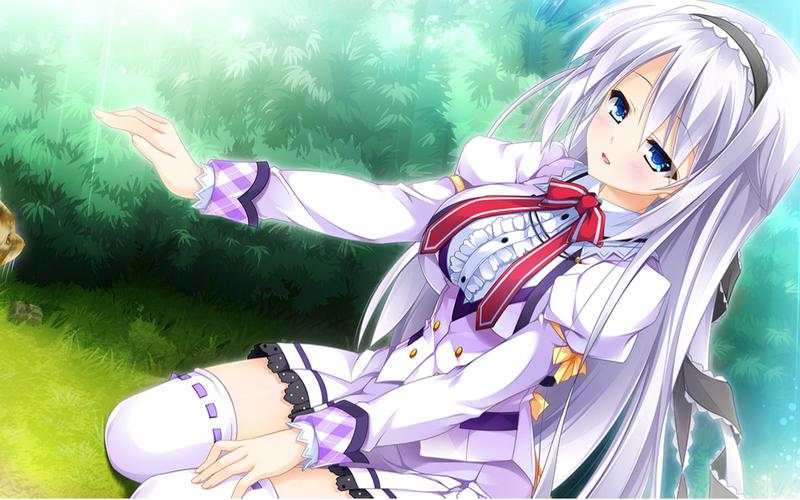 哪里可以下载乙女咲夜小姐?靠谱渠道推荐!