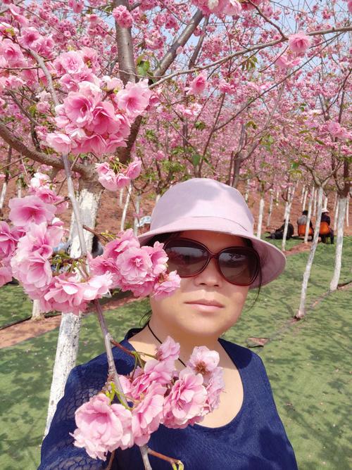 红樱花馆安卓版资源:PC+安卓双端完美整合