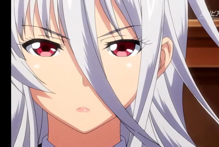 圣布伦希尔特学园少女骑士团纯白胖次汉化版更新