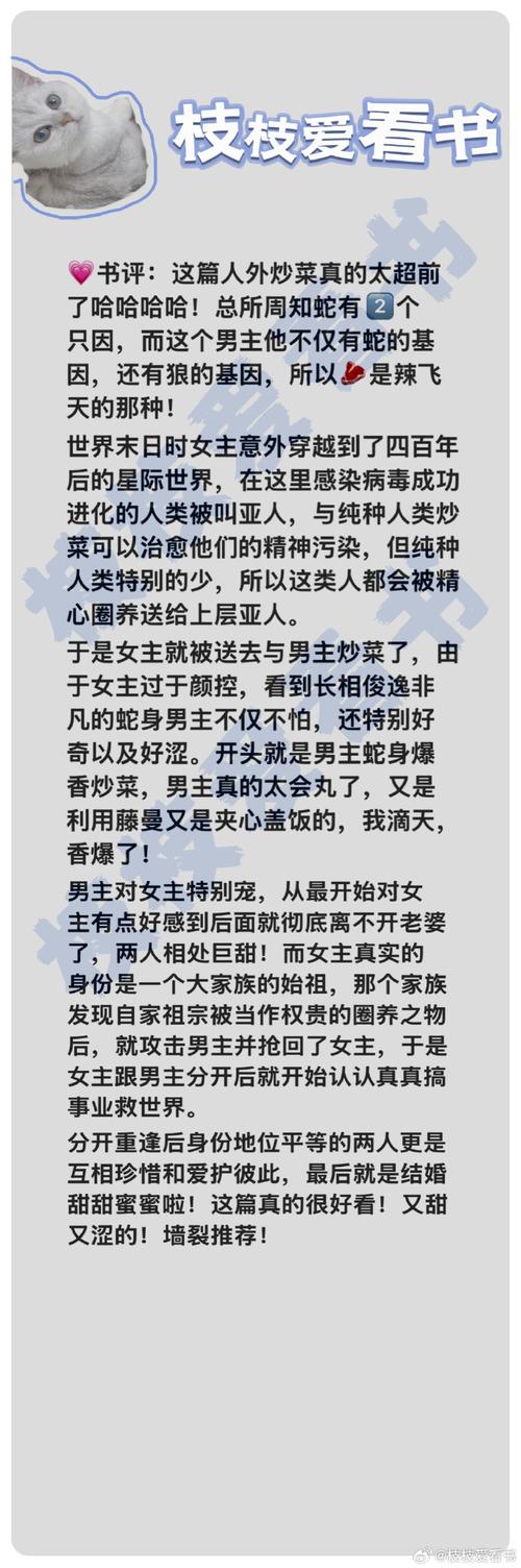汉娜的徒劳抵抗游戏介绍:体验精彩互动视觉小说