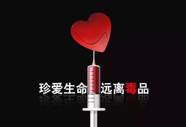 参加生命竞赛?这份版本大全你绝对不能错过