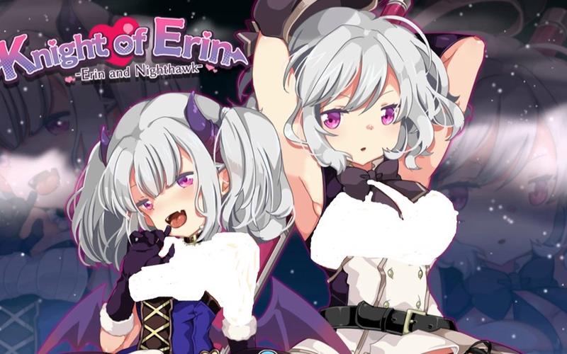 NTR女骑士绅士游戏一周目攻略：纯爱路线详解