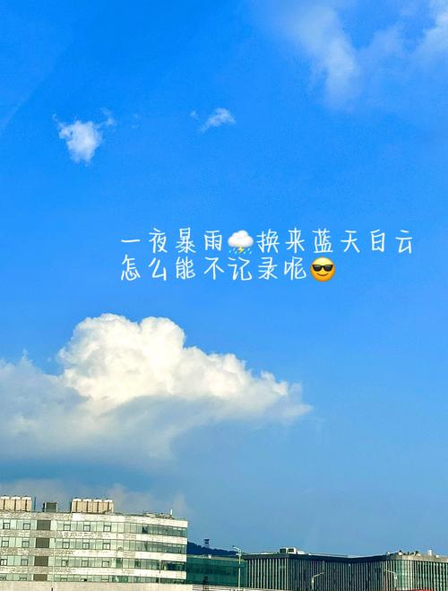 如何快速下载夏日风情?简单方法分享!