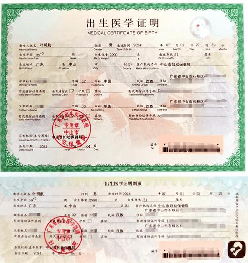 出生证明游戏下载：PC+安卓版，汉化版资源，轻松畅玩！