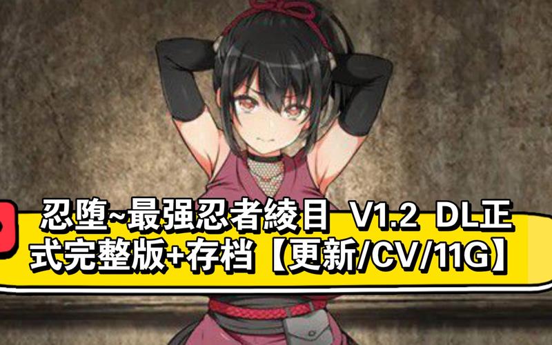 忍堕/女忍调教游戏下载,高清完整版资源推荐!