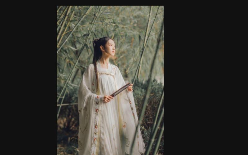 侠女逍遥录V0.755安卓汉化资源分享：体验江湖风云