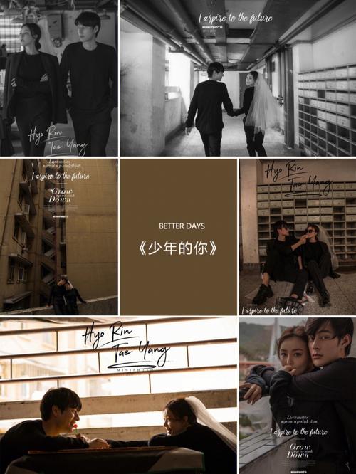 各个平台重返少年S2版本大全：一次性下载所有版本