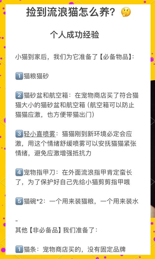 捡到千年猫游戏攻略:轻松解锁所有隐藏剧情方法
