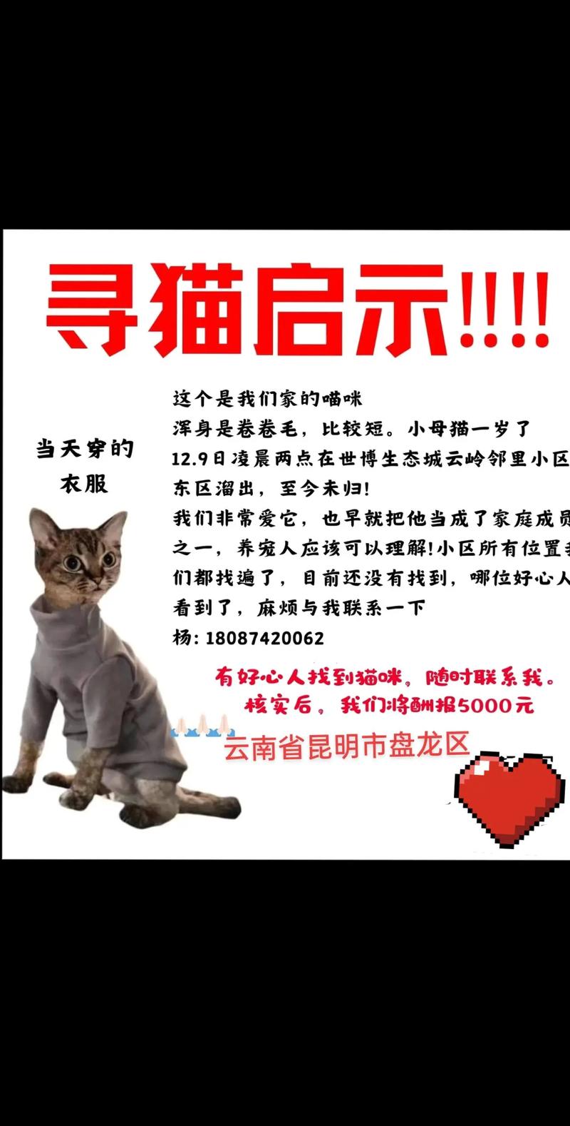 寻找疯猫最新版本?这里有你想要的全部资源