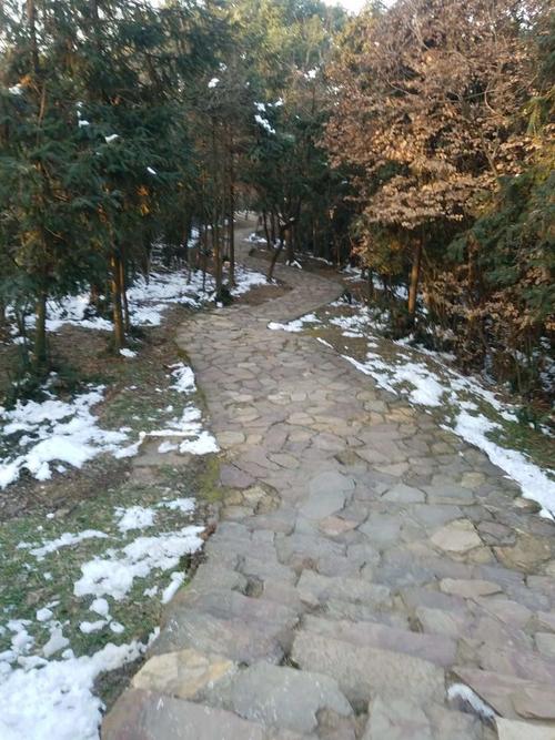 想知道激情公园最新版本?这里有你想要的答案!