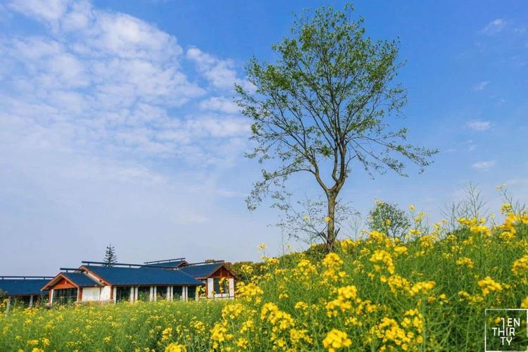 想知道激情公园最新版本?这里有你想要的答案!