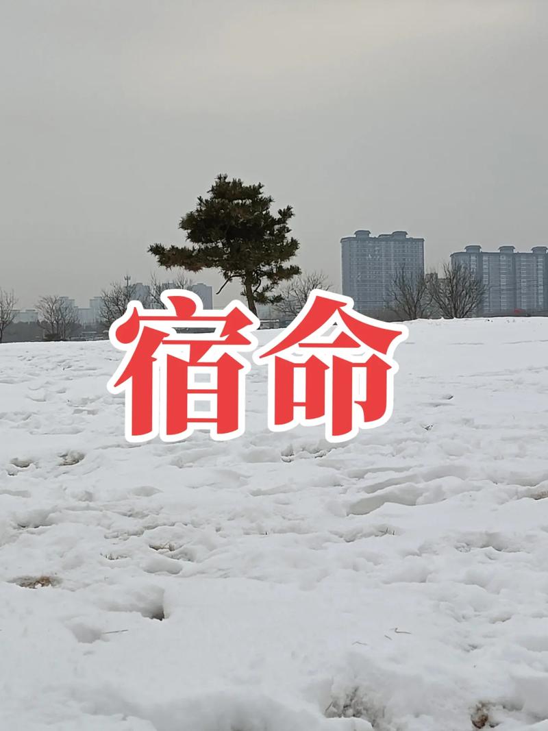 想下载宿命论?这里有你需要的下载链接