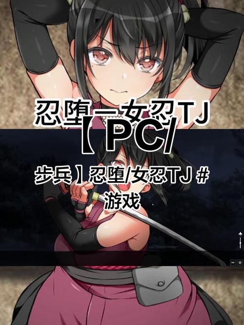 忍堕女忍调教游戏下载,高清完整版资源推荐!