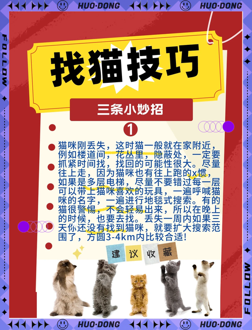 寻找疯猫最新版本?这里有你想要的全部资源