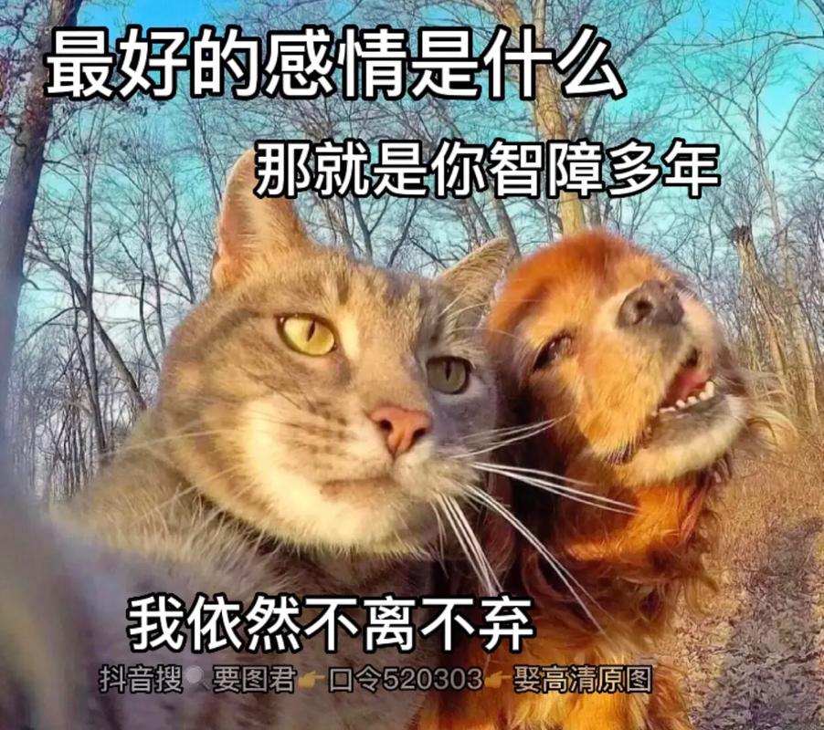 她是你的朋友吗最新版本下载：高清资源免费获取